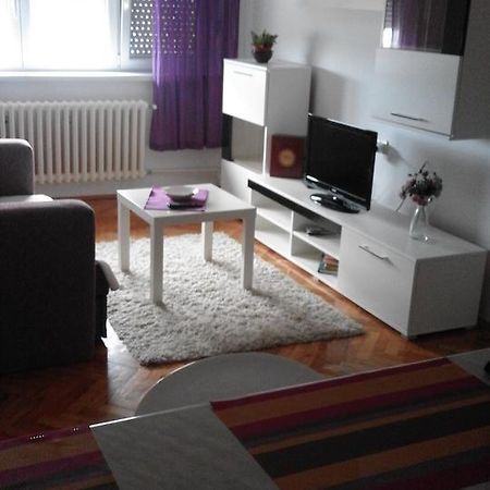 Tami Apartment Νόβι Σαντ Εξωτερικό φωτογραφία