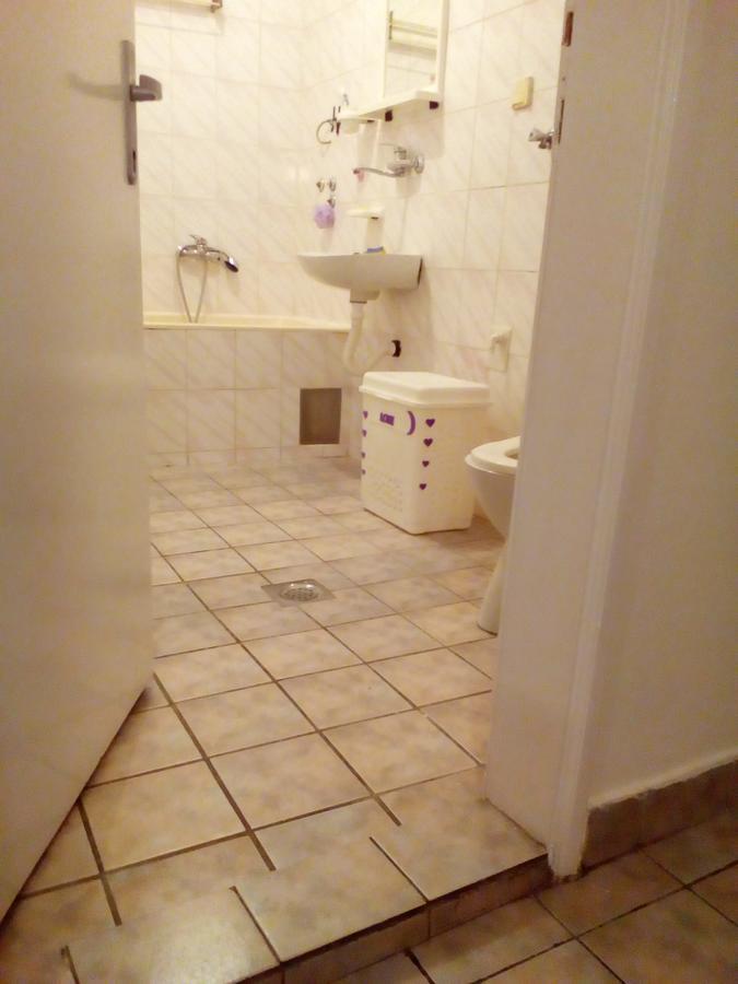 Tami Apartment Νόβι Σαντ Εξωτερικό φωτογραφία